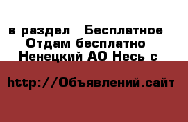  в раздел : Бесплатное » Отдам бесплатно . Ненецкий АО,Несь с.